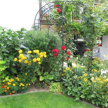 Abendstille Am Obstgarten Mit Terrasse Zapfendorf Extérieur photo